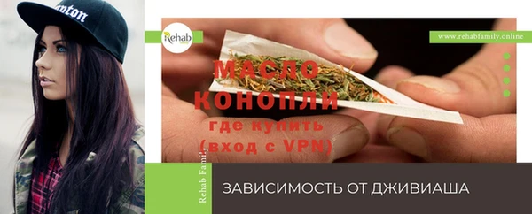 индика Балабаново