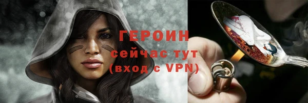 хмурый Арсеньев