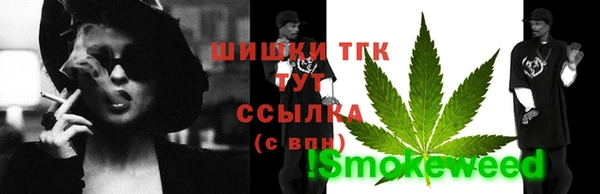 индика Балабаново