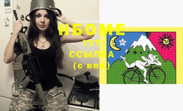 индика Балабаново