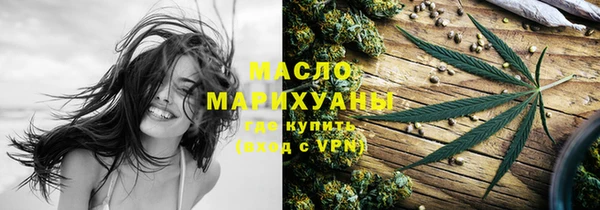 хмурый Арсеньев