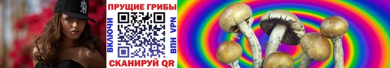 МЕГА   Ревда  Галлюциногенные грибы GOLDEN TEACHER 